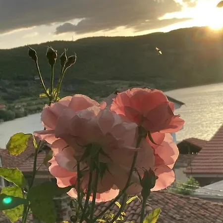 Сasa de vacaciones Roleo *