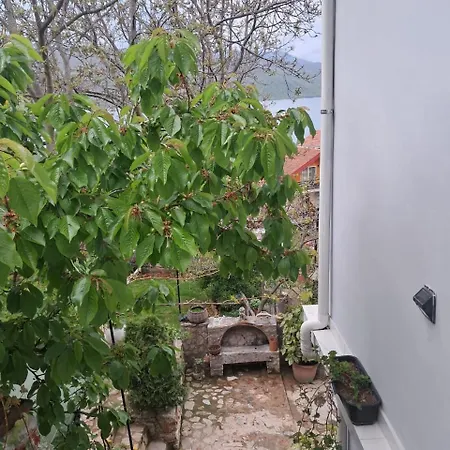 Semesterbostad Roleo Lini