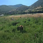 度假居 Roleo