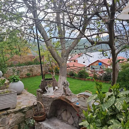 Roleo Holiday home