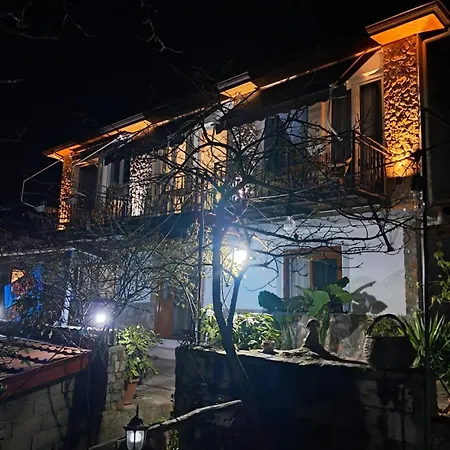 Roleo Lini