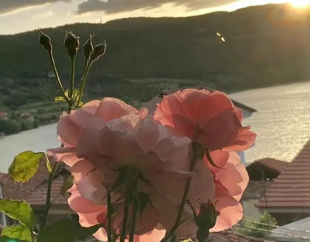 Hébergement de vacances Roleo *
