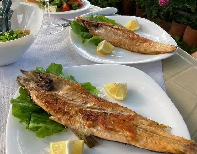 Roleo Feriehus Lini
